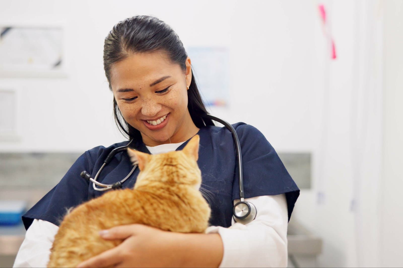 A veterinarian smiling as she holds a ginger cat in an exam room.