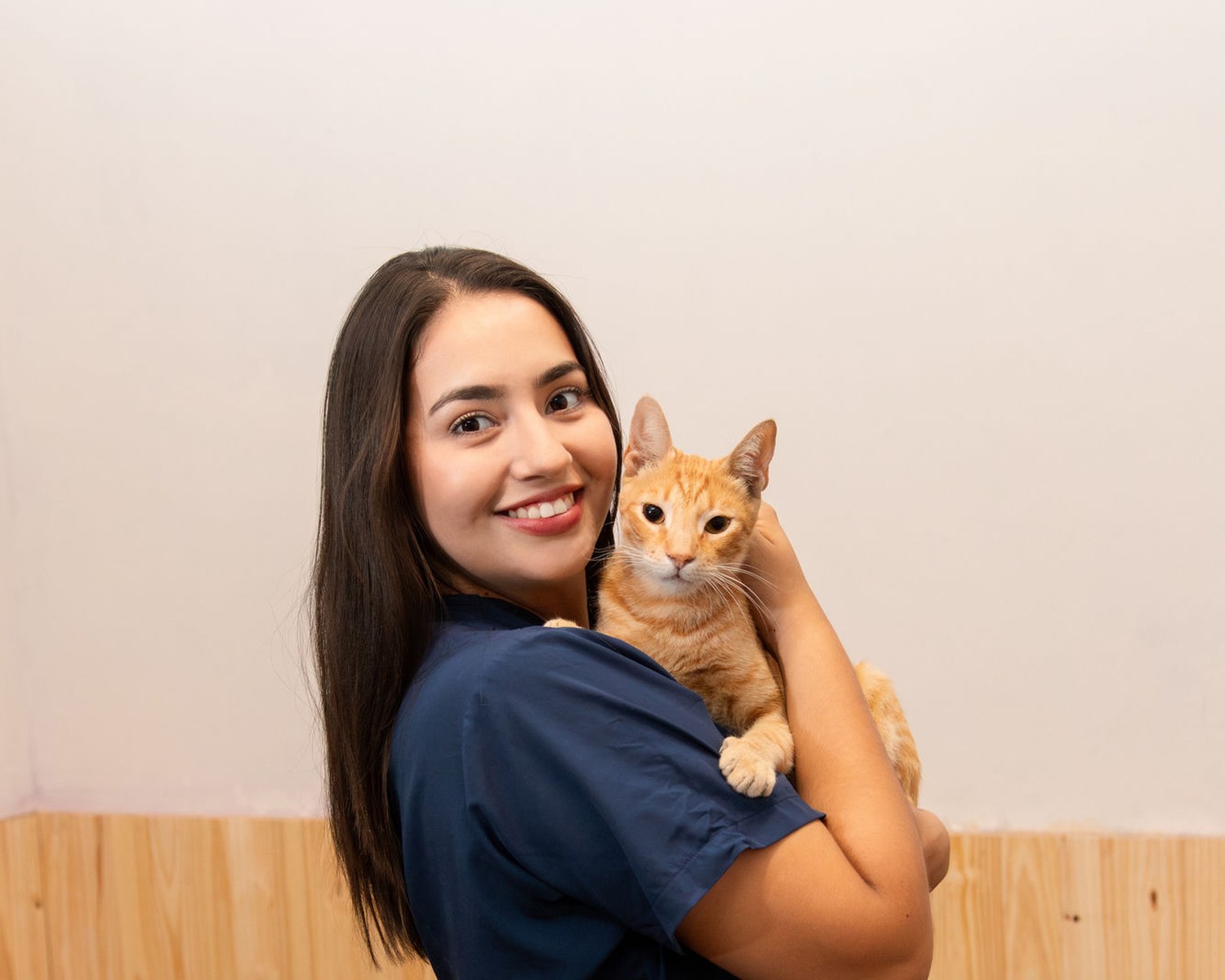 A veterinary professional in navy scrubs holding a relaxed ginger cat against her shoulder.