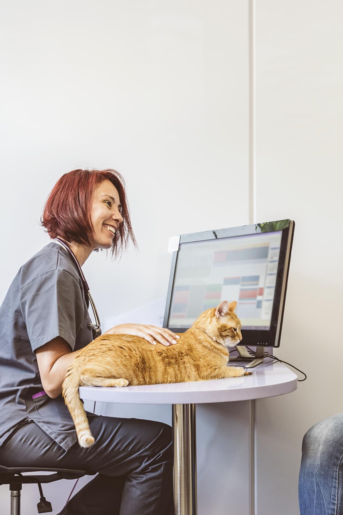 A veterinarian at a consult desk with a cat beside a records screen.